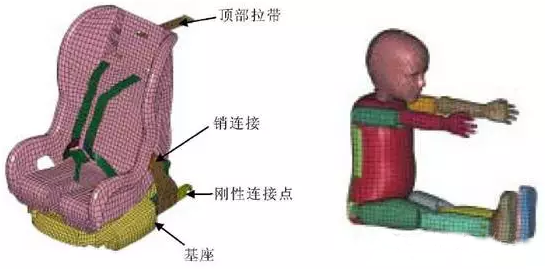 有限元在生物医疗三维人体建模方面的应用