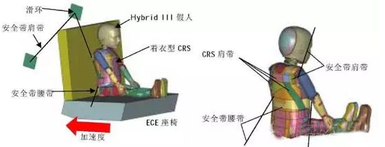 有限元在生物医疗三维人体建模方面的应用