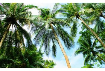 如果别人不相信你的CAE分析结果怎么办？