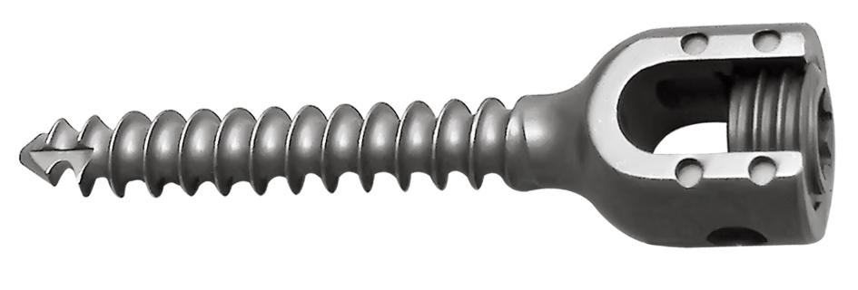 33de56a8bf046ca27367a51753406070_20181025155737_61816.jpg 33de56a8bf046ca27367a51753406070_20181025155737_61816.jpg